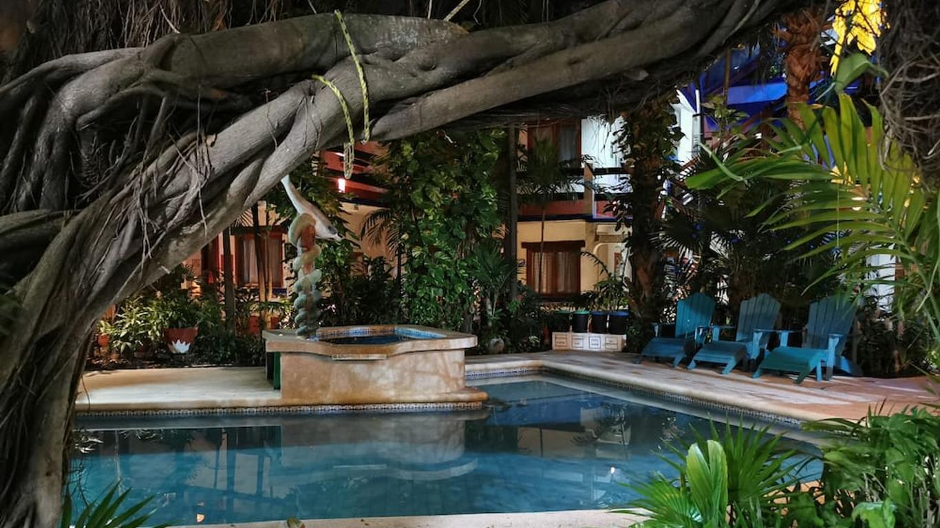 Eco-Hotel El Rey Del Caribe